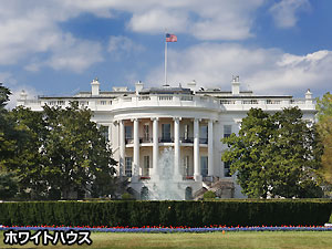 イメージ写真