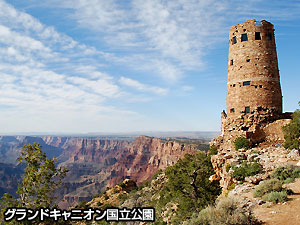 写真7