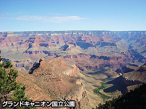 写真8
